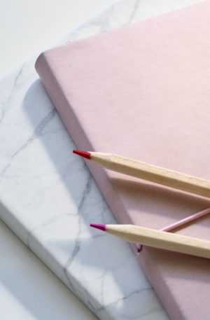 Mini Memoir Mentoring Session (3 hours)